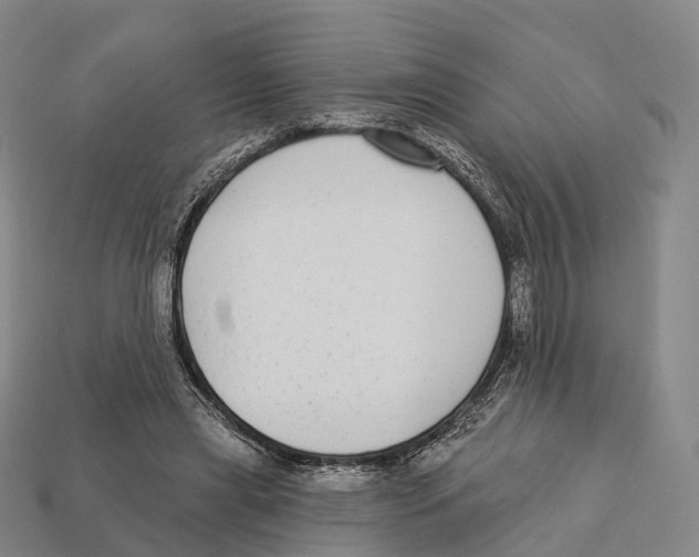 X0000113100445200909251035