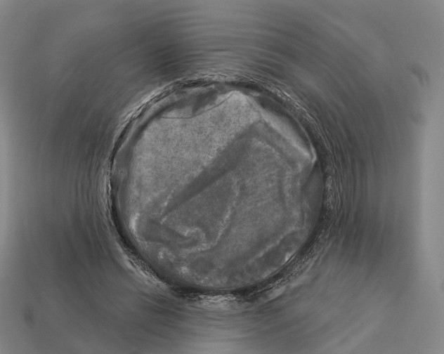 X0000113100446200909251035