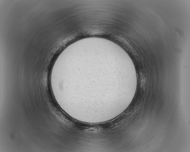 X0000113100447200909251035