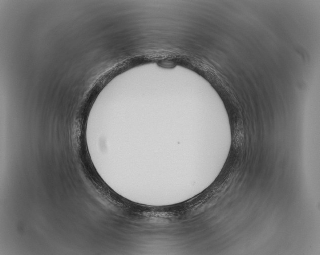 X0000113100448200909251035
