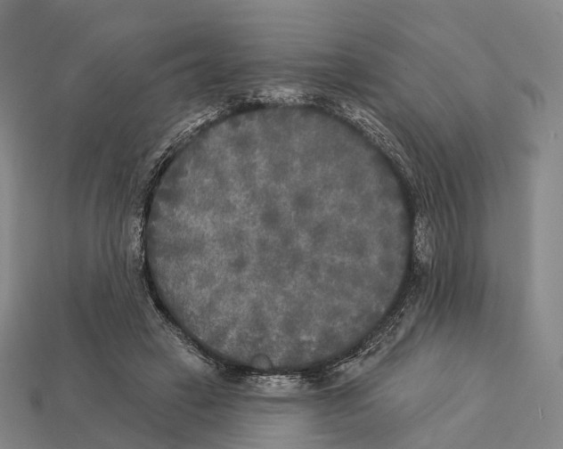 X0000113100449200909251035