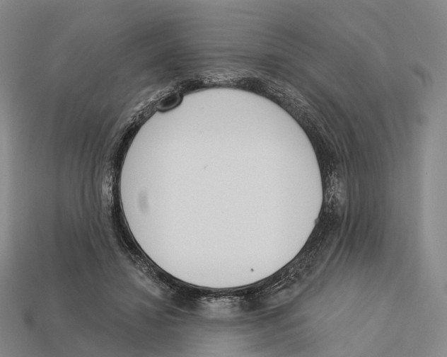 X0000113100452200909251035