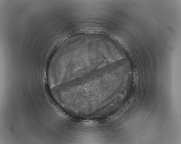 X0000113100453200909251035