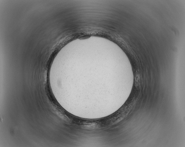 X0000113100454200909251035