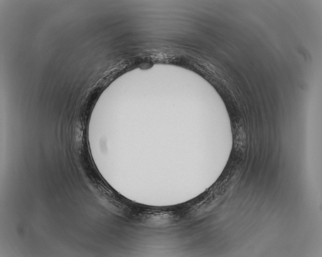 X0000113100456200909251035