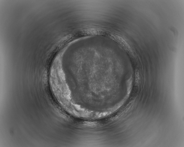 X0000113100457200909251035