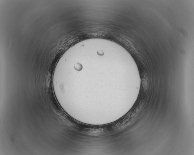 X0000113100458200909251035