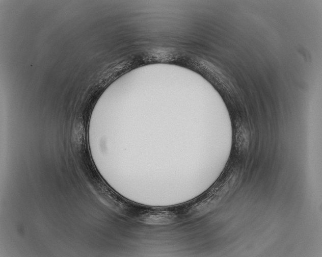 X0000113100459200909251035