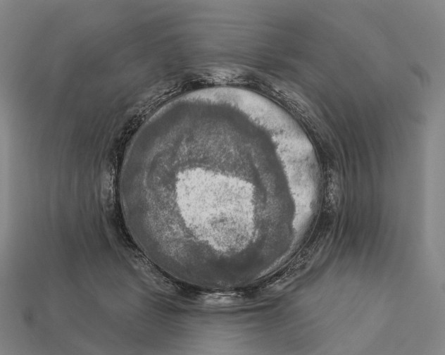 X0000113100461200909251035