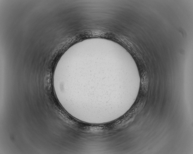 X0000113100462200909251035