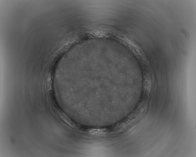 X0000113100465200909251035