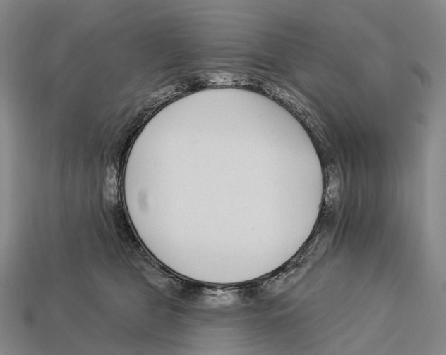 X0000113100469200909251035