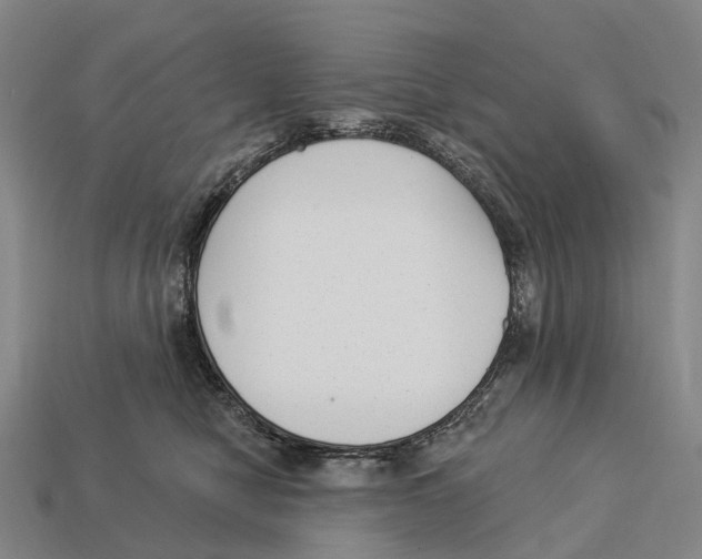 X0000113100470200909251035