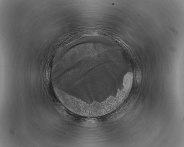 X0000113100475200909251035