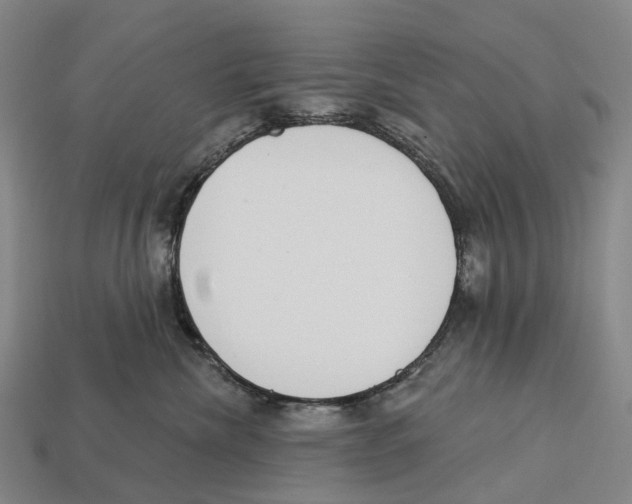 X0000113100476200909251035