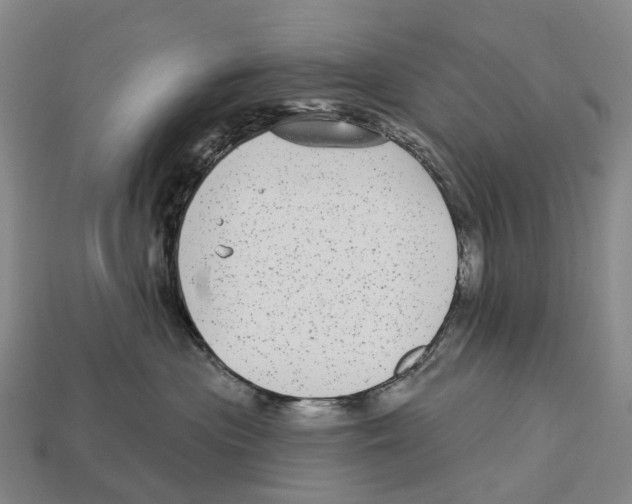 X0000113100477200909251035