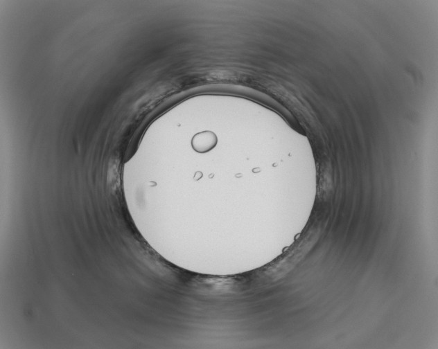 X0000113100478200909251035