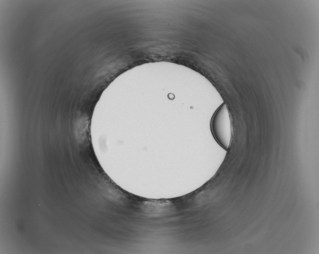 X0000113100480200909251035