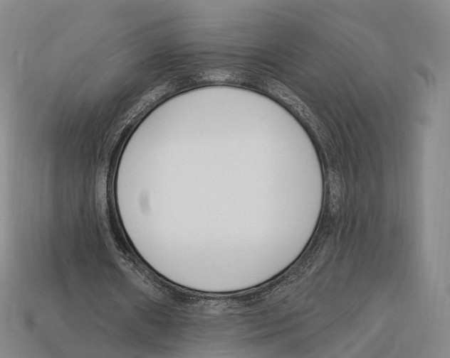 X0000113100482200909251034