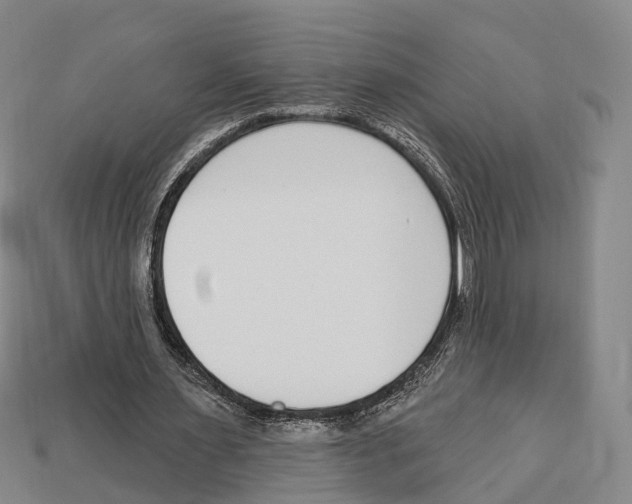 X0000113100483200909251034