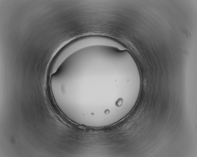 X0000113100484200909251034