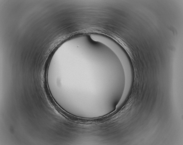 X0000113100485200909251034