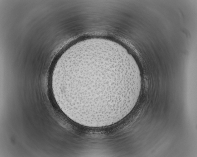 X0000113100487200909251034