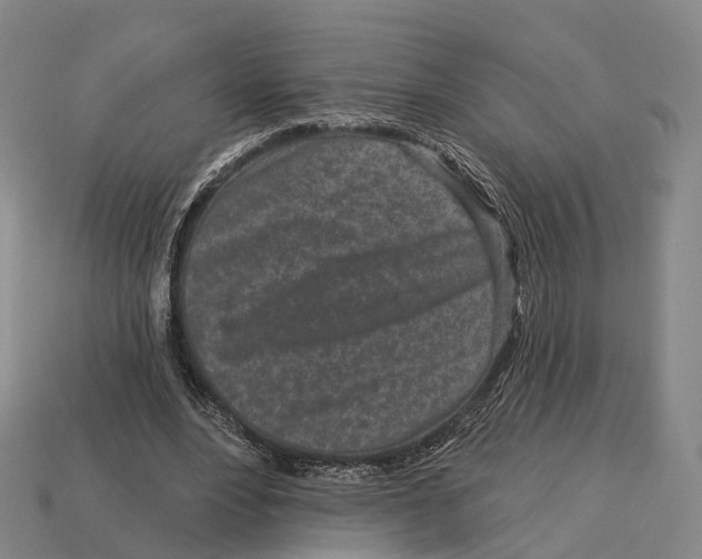 X0000113100488200909251034