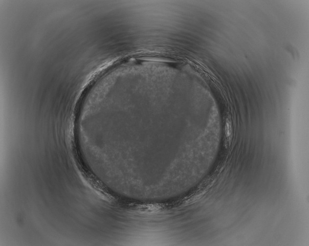 X0000113100492200909251034