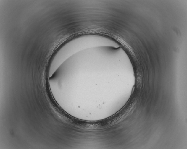 X0000113100493200909251034
