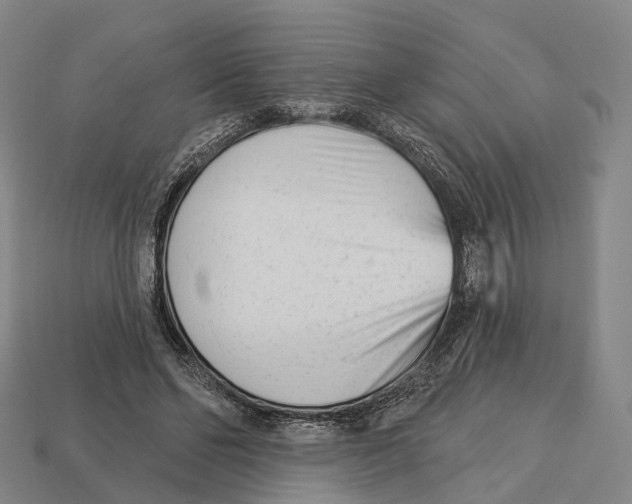 X0000113100494200909251034