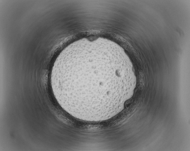 X0000113100495200909251034