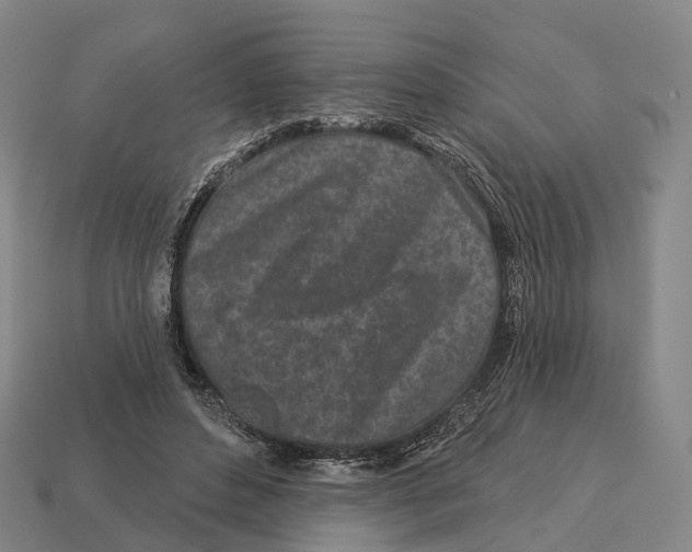 X0000113100496200909251034