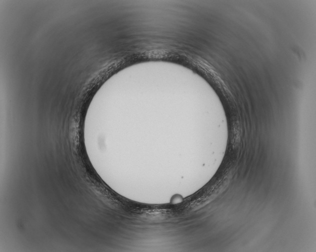 X0000113100497200909251034