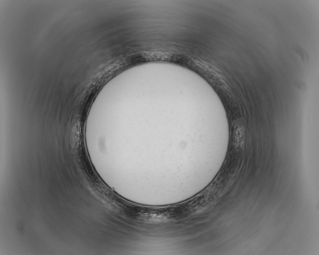 X0000113100498200909251034