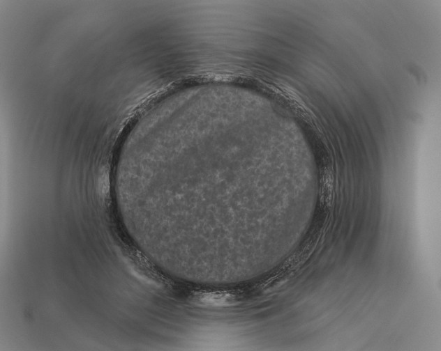 X0000113100500200909251034