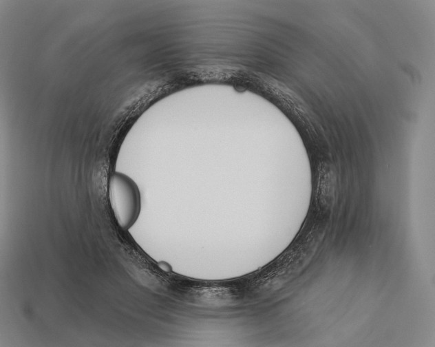 X0000113100501200909251034
