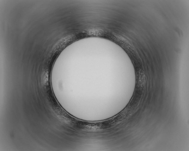 X0000113100502200909251034
