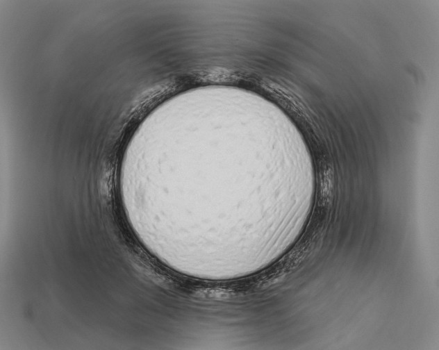 X0000113100503200909251034