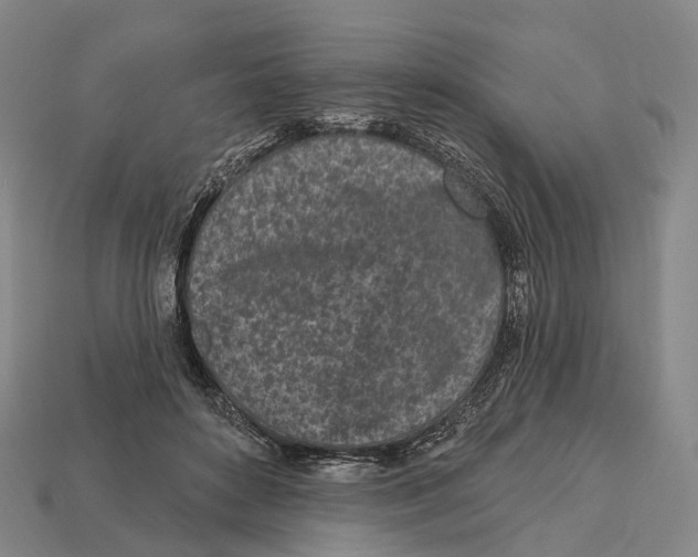 X0000113100504200909251034