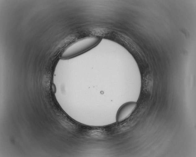 X0000113100505200909251034