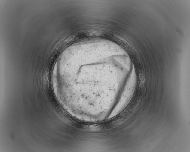 X0000113100506200909251034