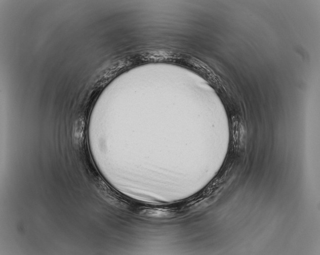 X0000113100507200909251034