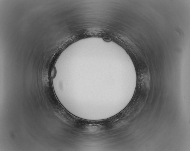 X0000113100508200909251034