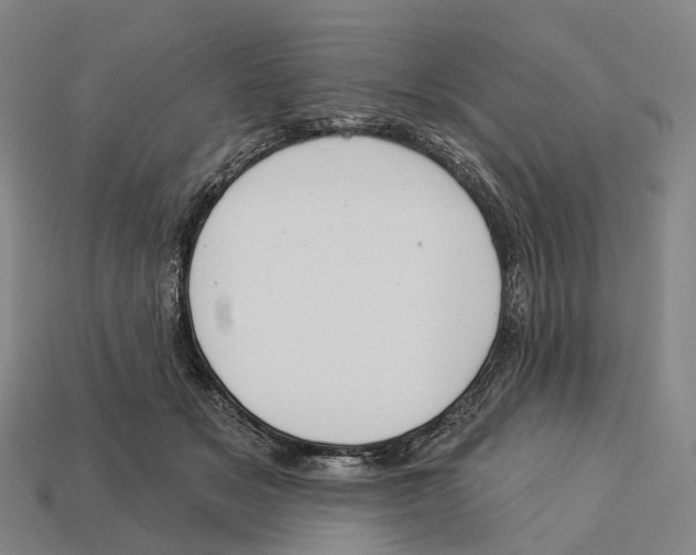 X0000113100509200909251034