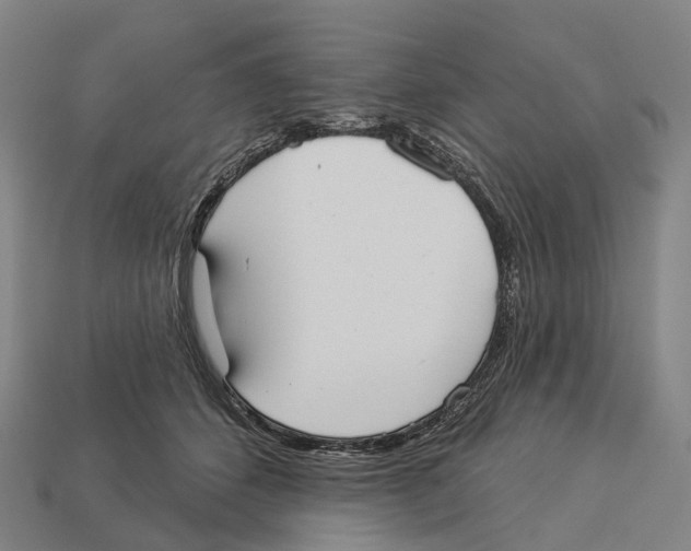 X0000113100512200909251034