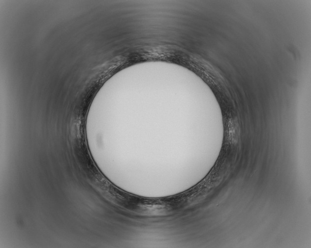X0000113100514200909251034
