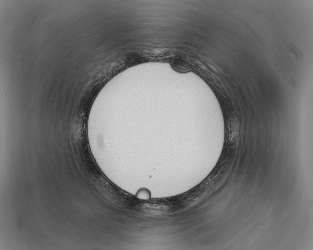 X0000113100515200909251034