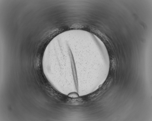 X0000113100517200909251034