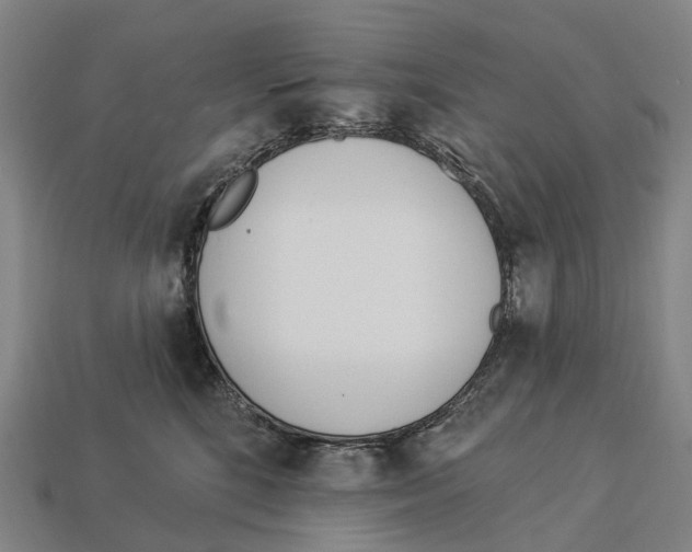X0000113100520200909251034